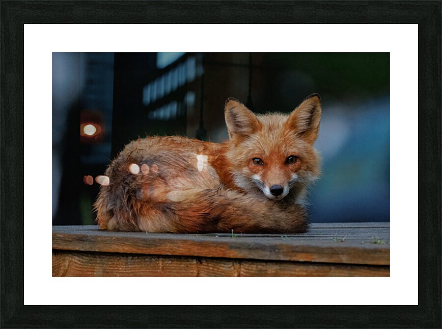  Fine Art print