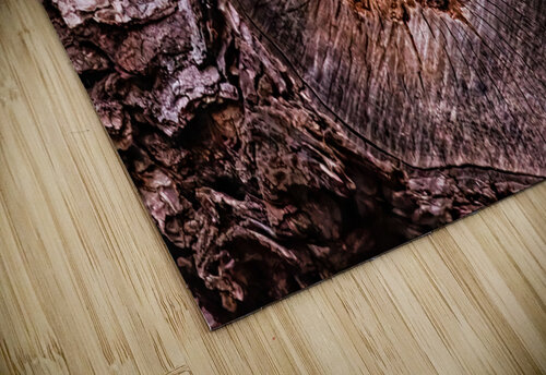 Redamorphasis Lisa Jarosik puzzle