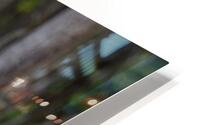 Larry HD Metal print