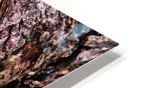 Redamorphasis HD Metal print