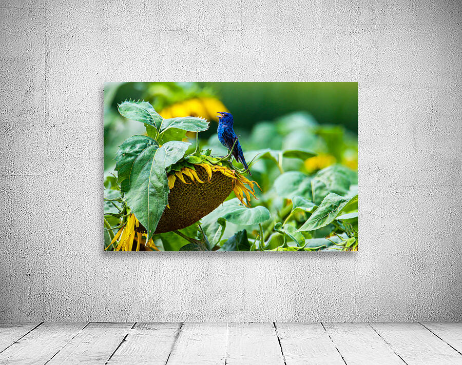 Sunflower Wall Preview