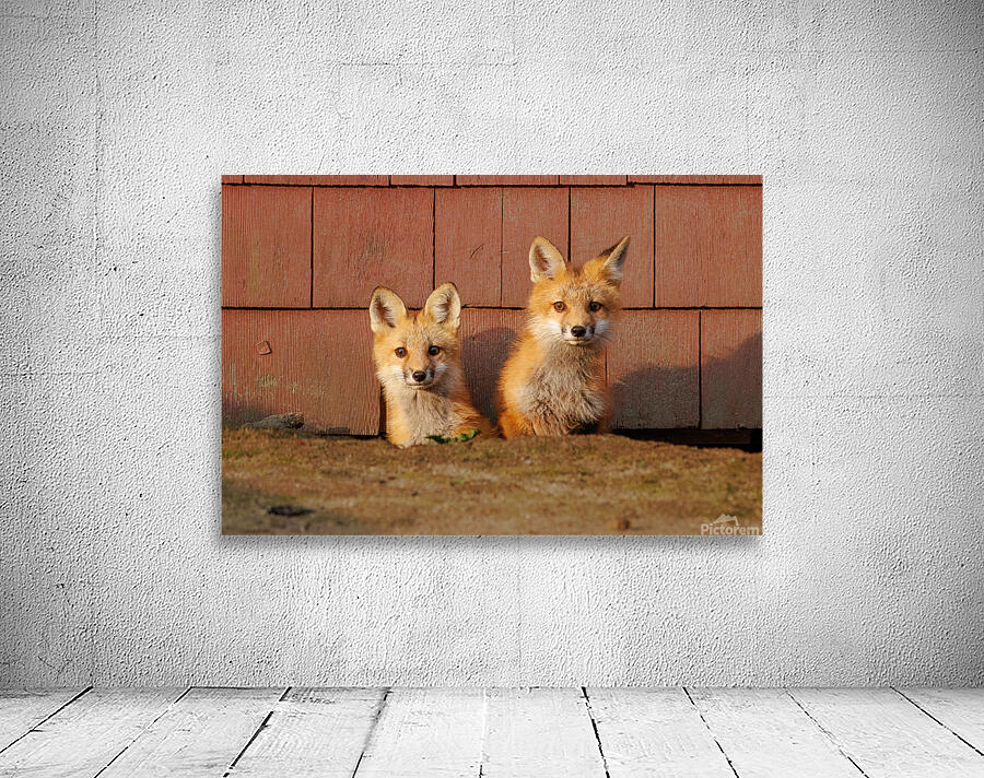 Siblings Wall Preview