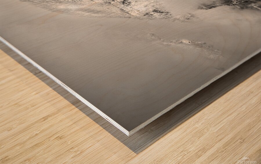 6750 Columbia River Gorge B and W 1 of 1 Wood print