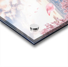  French sakura Acrylic print