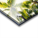  Tropical vibe Acrylic print