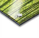 Bamboo Wall Acrylic print