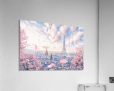  French sakura Acrylic Print