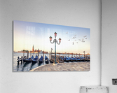 Birds flight Acrylic Print