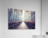 Hidden Kyoto Acrylic Print