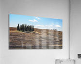 Tuscany Acrylic Print