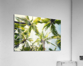 Tropical vibe Acrylic Print