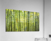 Bamboo Wall Acrylic Print