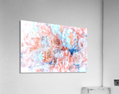 Composition Acrylic Print