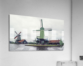 Zaanse Schans Acrylic Print