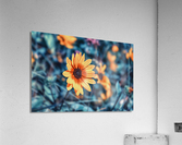 Flower Bed Acrylic Print