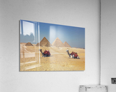 Giza Acrylic Print