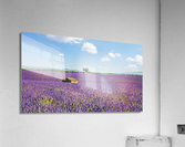 Cabin With A View Acrylic Print