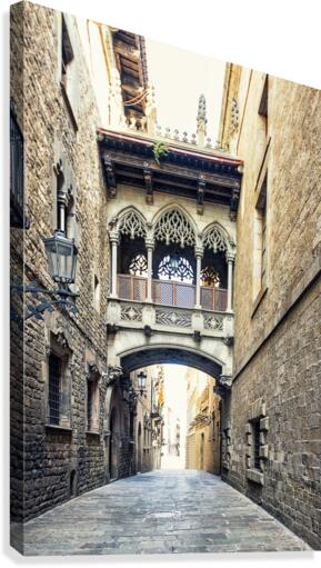 Pont del Bisbe Canvas Print