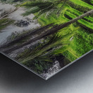  Tegallalang Rice Terraces Metal print