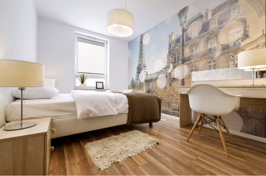  Beautiful Paris Mural print