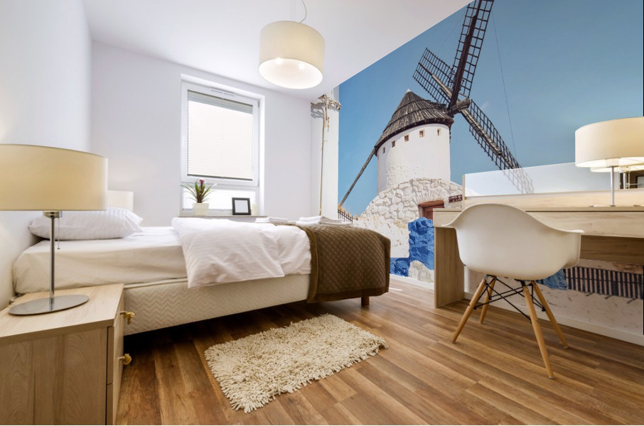  La Mancha Mural print