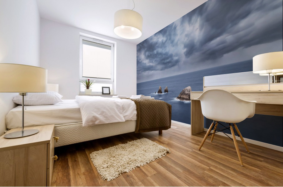 The Storm Mural print