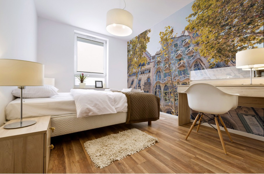 Casa Batllo Mural print