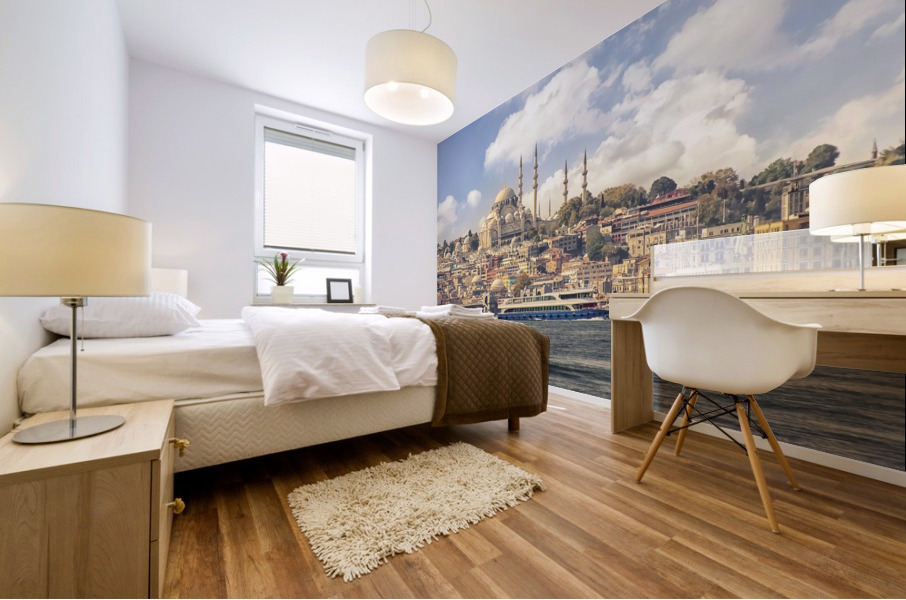 Istanbul Mural print
