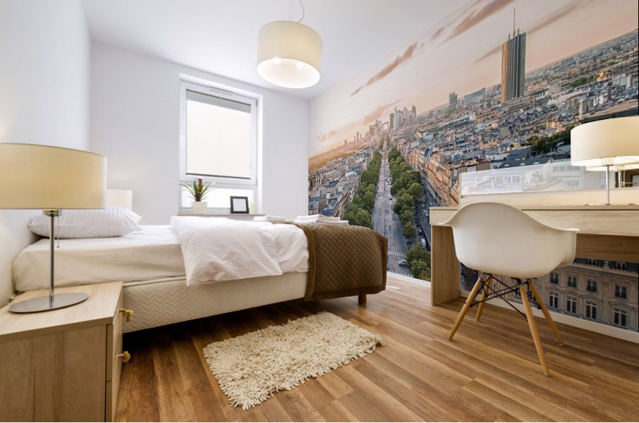 Paris Mural print
