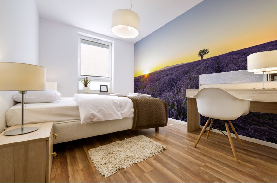 Lavender Mural print