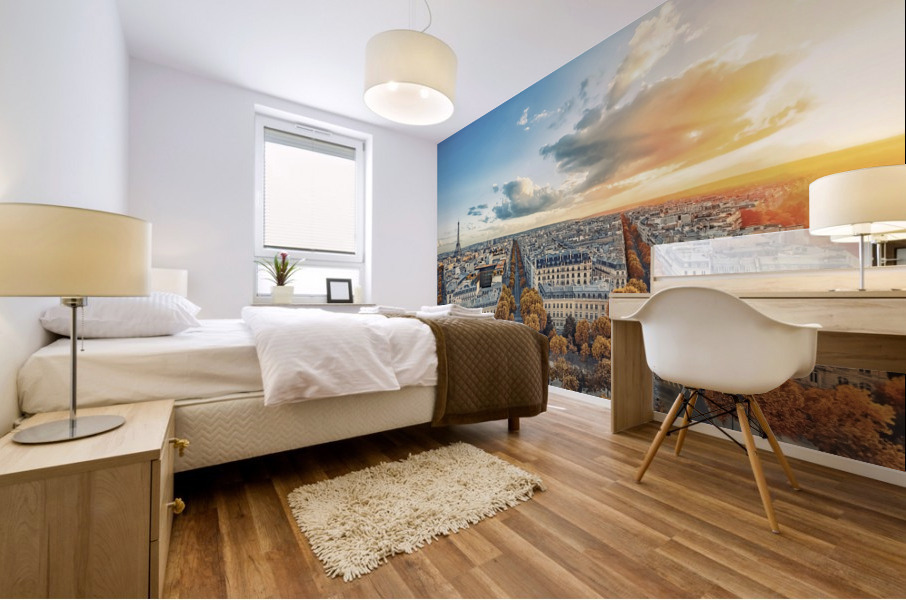 Paris panorama Mural print