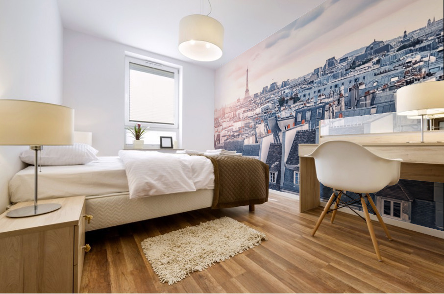 Paris roofs Mural print