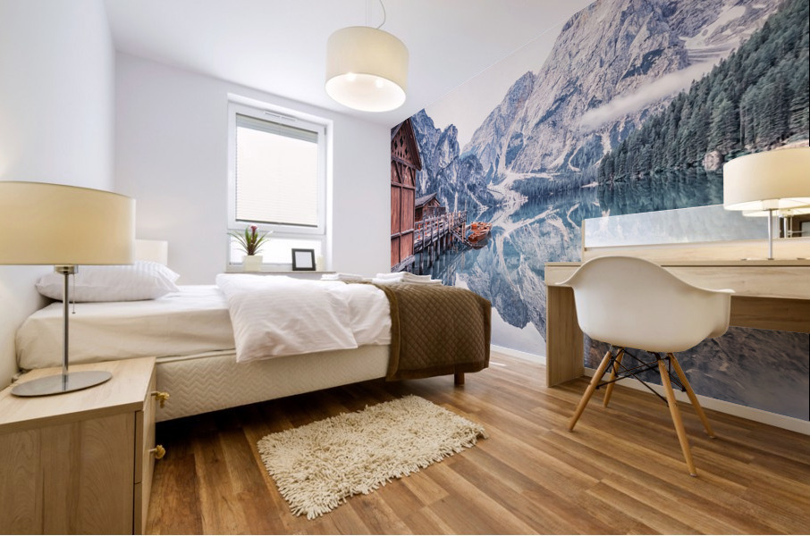 Cold Morning Mural print
