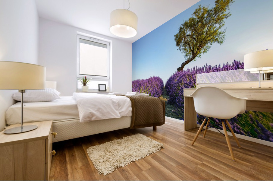 Provence Mural print