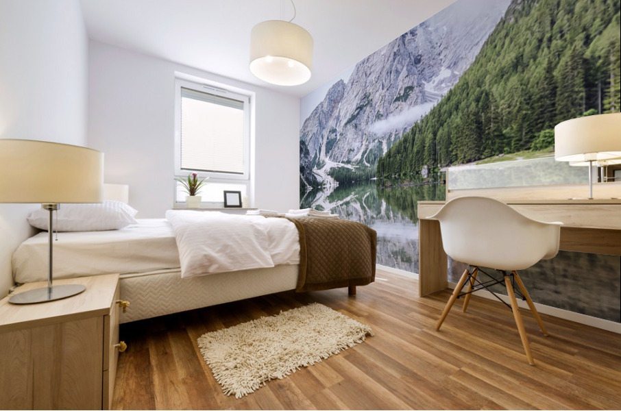  Mountain Landscape Mural print