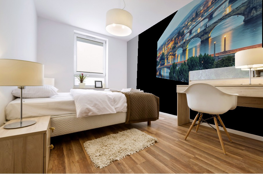 Prague Mural print