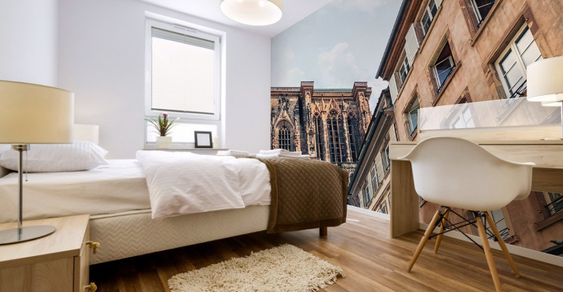  Strasbourg Cathedral Mural print