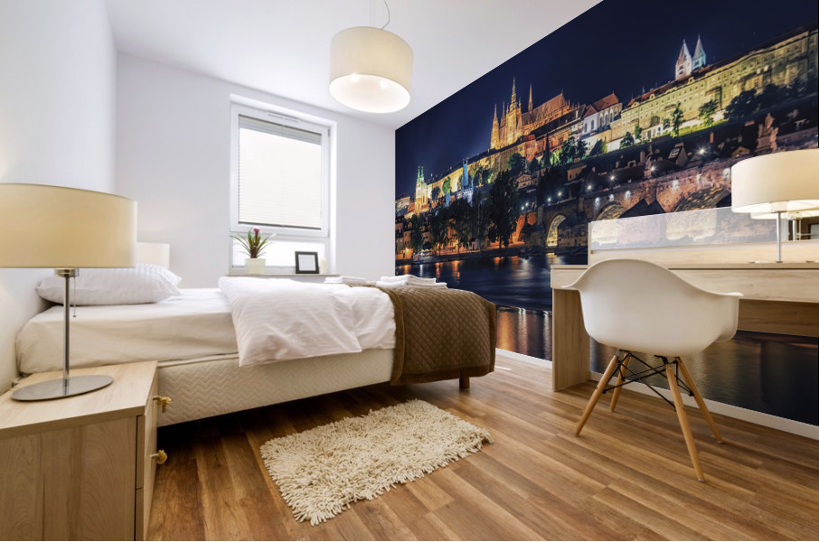 Prague By Night Mural print