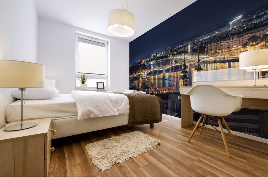 Budapest Panorama Mural print