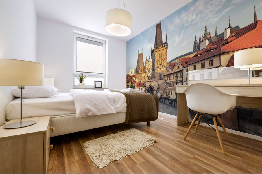 Charles Bridge Mural print