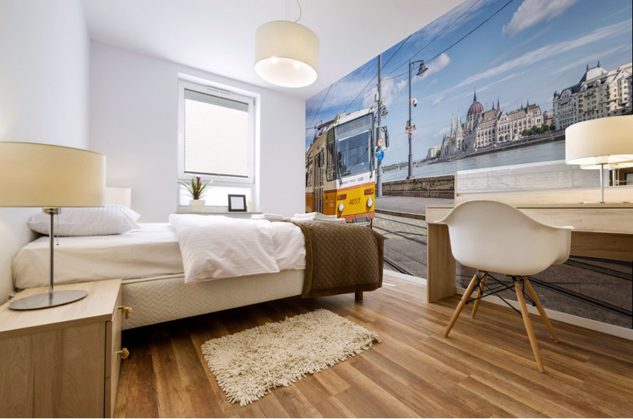 Budapest City Mural print