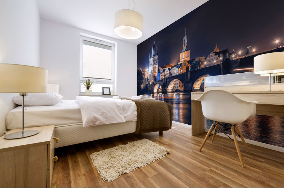 Night in Prague Mural print