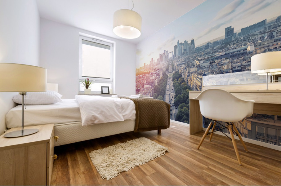 Sweet Light Over Paris Mural print