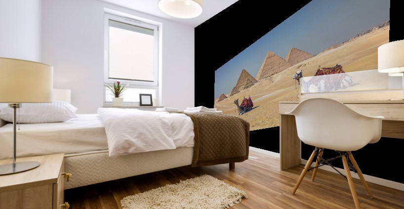 Giza Mural print