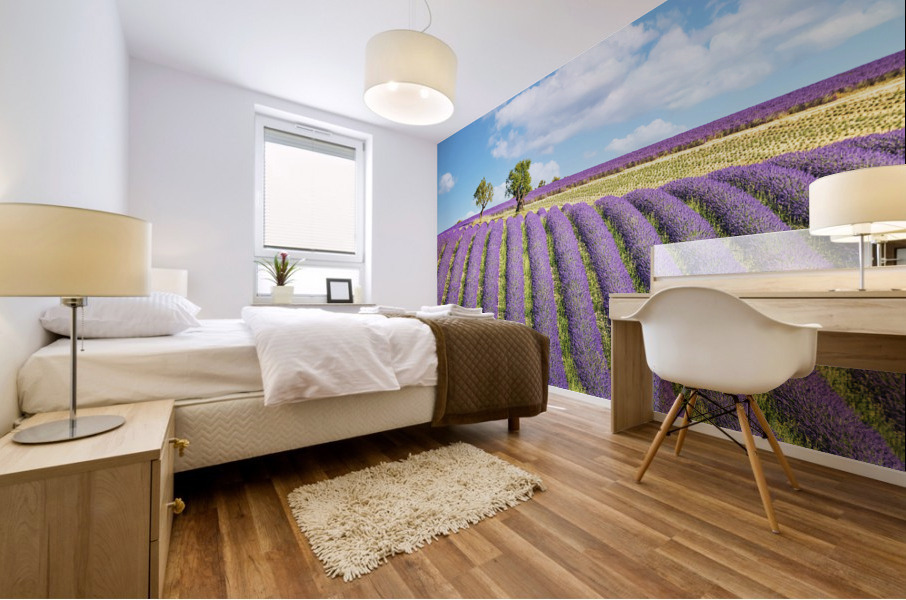 Summer In Provence Mural print
