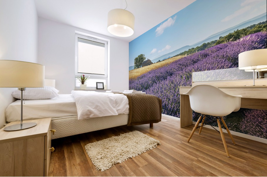 French Countryside Mural print