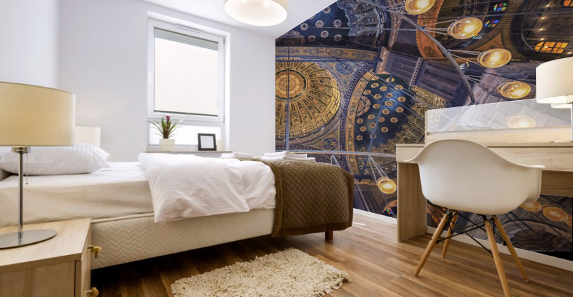 Muhammad Ali Ceiling Mural print
