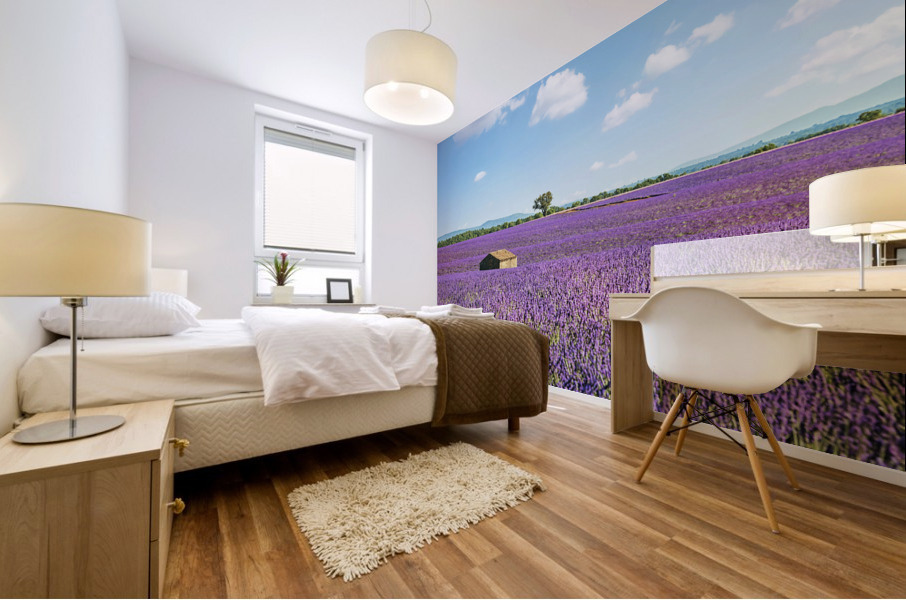Cabin With A View Mural print