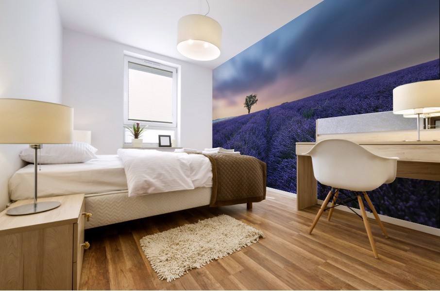 Valensole Sunset Mural print
