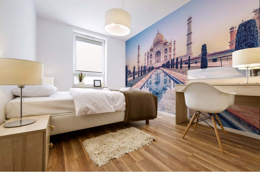 Beautiful Taj Mural print